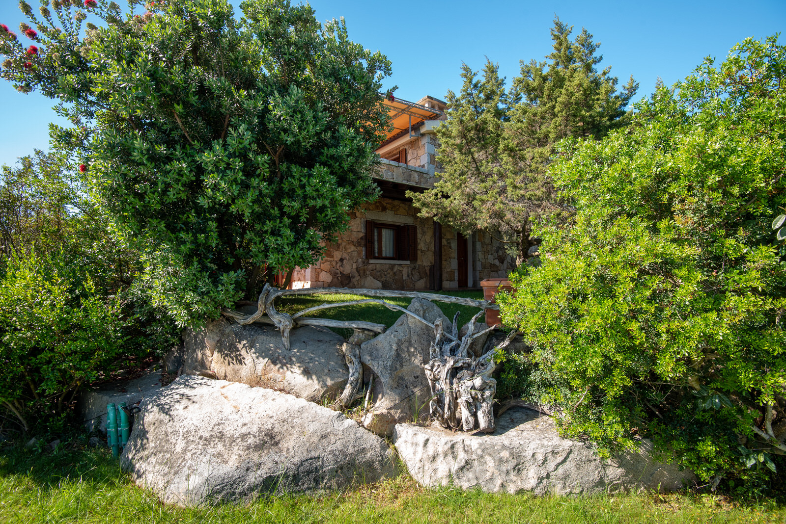 salzola_2020-2